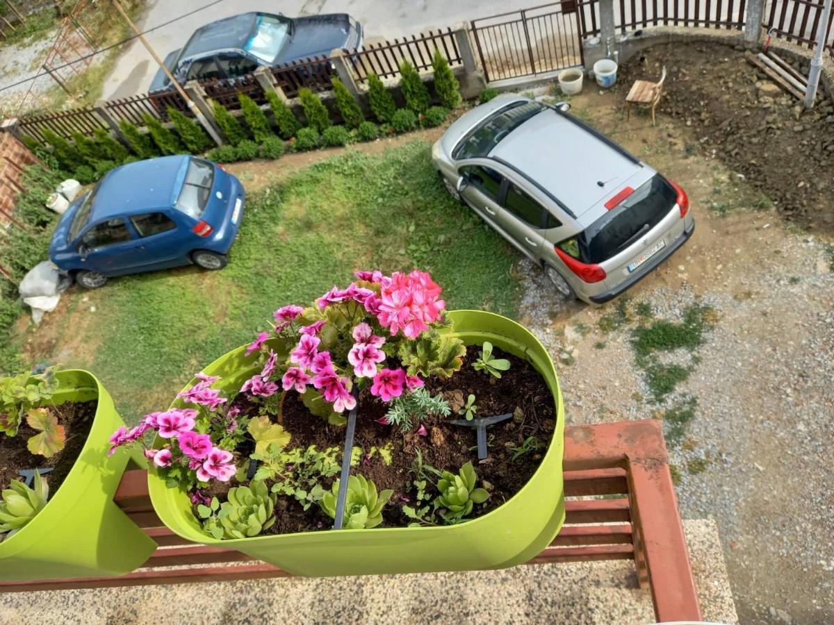 Apartmants Djekovi أوهغيد المظهر الخارجي الصورة